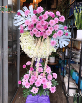 G002366 - belovedbeyond.com