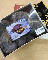 Nấm Linh Chi Tím 365 - belovedbeyond.com