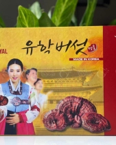 Nấm Linh Chi Cô Gái  - belovedbeyond.com