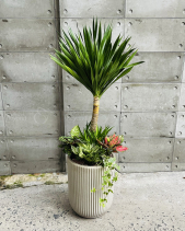 Phát Tài Núi Mix Vạn Lộc, Ngọc Ngân - belovedbeyond.com