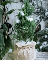Merry Christmas - belovedbeyond.com