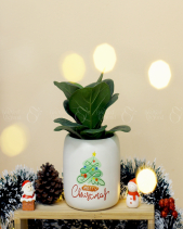 Set Quà Giáng Sinh 010 - belovedbeyond.com