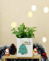 Set Quà Giáng Sinh 011 - belovedbeyond.com