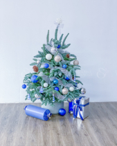 Thông Tươi Nobilis Đan Mạch 1M5 - belovedbeyond.com