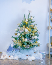 Thông Giáng Sinh - belovedbeyond.com