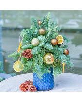 Thông Tươi Nobilis Đan Mạch 40Cm Xinh Xắn - belovedbeyond.com