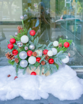 Nhà Thông Tươi Nobilis Đan Mạch Để Bàn - belovedbeyond.com