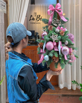 Thông Giáng Sinh - belovedbeyond.com