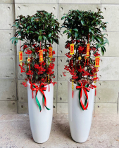 Sung Túc - belovedbeyond.com