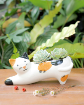 Mèo May Mắn - Set 001 - belovedbeyond.com