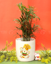 Quà Tặng Tết 2023 - Set 010 - belovedbeyond.com
