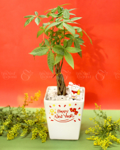 Quà Tặng Tết 2023 - Set 014 - belovedbeyond.com