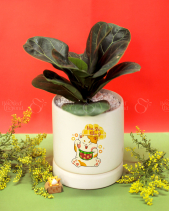 Quà Tặng Tết 2023 - Set 018 - belovedbeyond.com
