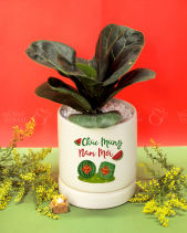 Quà Tặng Tết 2023 - Set 019 - belovedbeyond.com