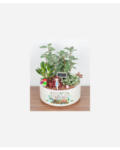 Ông Bà Tôi - belovedbeyond.com