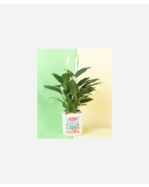 Đừng Bỏ Cuộc - belovedbeyond.com