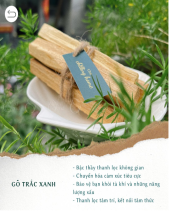 Gỗ Trắc Xanh Palo Santo - belovedbeyond.com