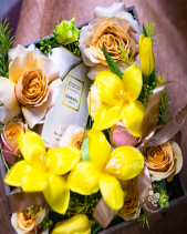 Mặt Trời Nhỏ - belovedbeyond.com