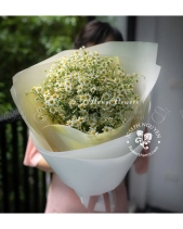 Bé Yêu - belovedbeyond.com