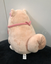 Chó Shiba Anh Đào - belovedbeyond.com