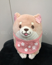 Chó Shiba Anh Đào - belovedbeyond.com