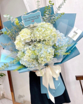 Bó Hoa Cẩm Tú Cầu Xanh - belovedbeyond.com