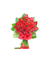 Kệ Chúc Mừng 06 - belovedbeyond.com