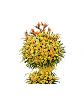 Dẫn Lối Thành Công - belovedbeyond.com