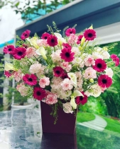 Sunshine - belovedbeyond.com