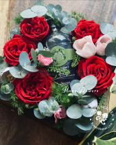 Mơ - belovedbeyond.com