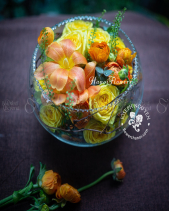 Trăng Vàng - belovedbeyond.com