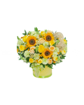 Bừng Nắng - belovedbeyond.com