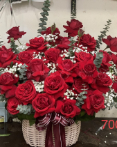 Rosie - belovedbeyond.com