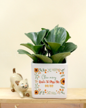 Quà Mừng Quốc Tế Phụ Nữ 8/3 - Set 005 - belovedbeyond.com