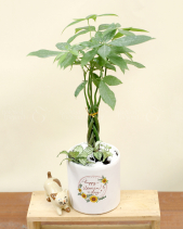 Quà Mừng Quốc Tế Phụ Nữ 8/3 - Set 009 - belovedbeyond.com