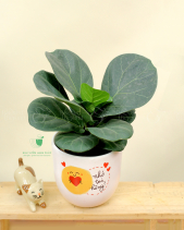 Quà Mừng Quốc Tế Phụ Nữ 8/3 - Set 010 - belovedbeyond.com