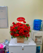 Thân Yêu - belovedbeyond.com