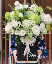 Tinh Khôi - belovedbeyond.com