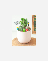 Mochi Xương Rồng Mix - belovedbeyond.com