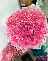 Baby Nhuộm - belovedbeyond.com