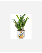 Đón Lộc - belovedbeyond.com