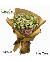 Bó Hoa Cúc Tana - belovedbeyond.com