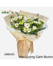 Mao Lương Cánh Bướm - belovedbeyond.com