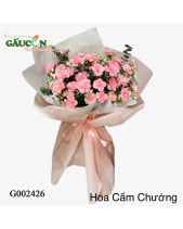 Bó Hoa Cẩm Chướng - belovedbeyond.com