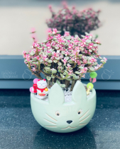 Chậu Hoa Mini Để Bàn - belovedbeyond.com