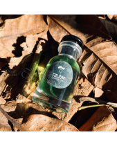 Nước Hoa Folium – Evergreen - belovedbeyond.com