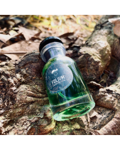 Nước Hoa Folium – Evergreen - belovedbeyond.com