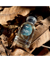 Nước Hoa Folium – Quercus - belovedbeyond.com