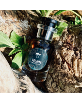 Nước Hoa Folium – Mixto - belovedbeyond.com