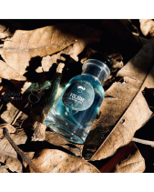 Nước Hoa Folium – Conifer - belovedbeyond.com